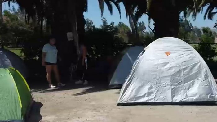 Ante apoderados que acamparon para matricular en escuelas a sus hijos: Revisa cómo se postula en línea