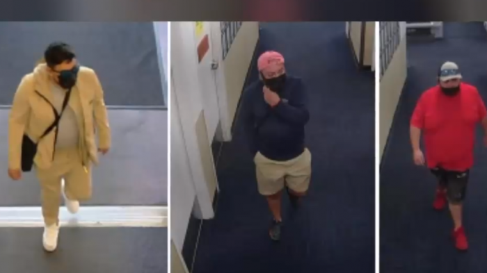 Capturan a chileno que robó 1 millón de dólares en diferentes especies en Estados Unidos