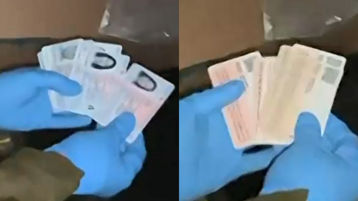 Desarticulan a banda que falsificaba cédulas de identidad en Independencia: 3 sujetos fueron detenidos