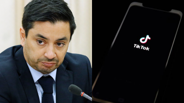 ¿Espías del gobierno chino? Diputado UDI anuncia proyecto para restringir el uso de TikTok