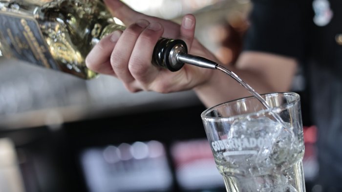 ¡Salud! Pisco chileno fue destacado entre los 50 mejores licores del mundo y superó al peruano