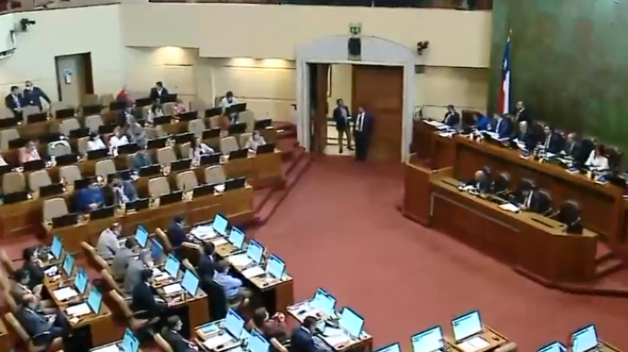 De forma extraordinaria: Comisión de Seguridad del Senado comenzó discusión en particular de Ley Naín-Retamal