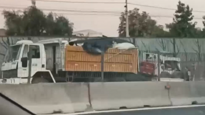 Accidente múltiple provoca congestión en Autopista General Velásquez: Hay al menos 5 vehículos involucrados