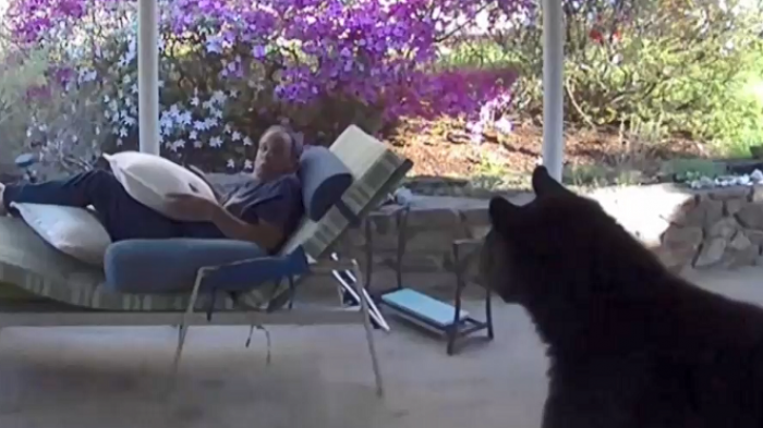 La increíble reacción de hombre que se topó con un oso dentro de su casa en EEUU: 