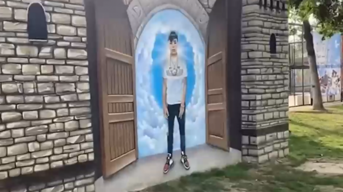 Para combatir la delincuencia: Proponen proyecto de ley que busca destruir 