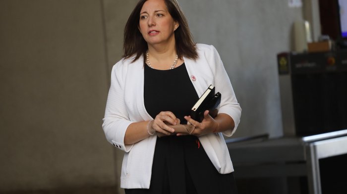 Paulina Vodanovic fue designada por el PS como reemplazo de Álvaro Elizalde en el Senado