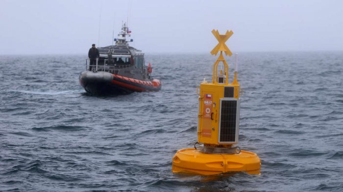 Era única en Latinoamérica: Destruyeron boya inteligente que advertía la presencia de ballenas frente a Chiloé