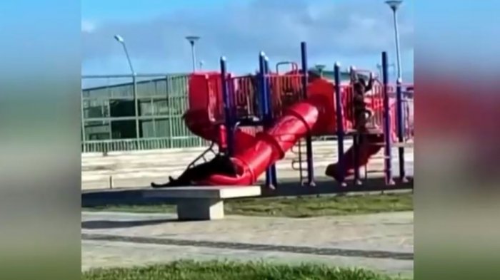 Chascarro del presidente Boric se viralizó en redes: Quedó atrapado en tobogán de Punta Arenas