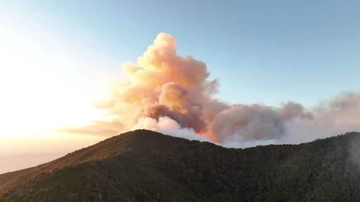 Zapallar y Papudo en Alerta Roja por incendio forestal que habría sido causado por tendido eléctrico