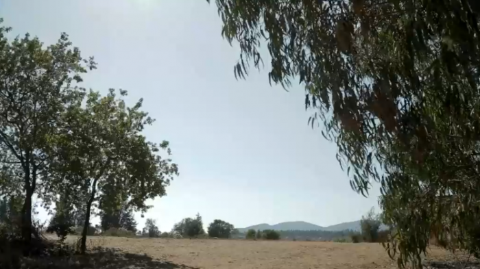 La casa propia o defender último rincón de naturaleza viva: Mega proyecto divide a comunidad de Puchuncaví