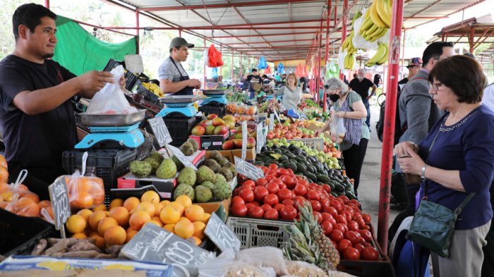 Dos meses consecutivos de bajas: Estos son los alimentos de la canasta básica que disminuyeron sus precios