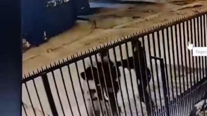 Le robaron todo: Mujer sufrió violento abordazo por sujetos que la tiraron al piso en calle de Maipú