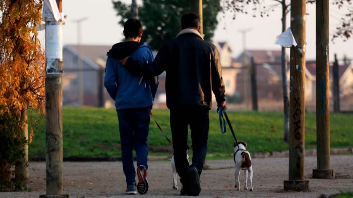 Ley de Responsabilidad Parental entra en vigencia: Así funcionará el pago de deudas por pensión de alimentos