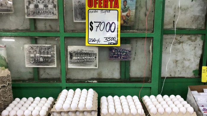 Dolor en el bolsillo: Precio del huevo sufrió nueva alza y se disparó en un 33% durante el año