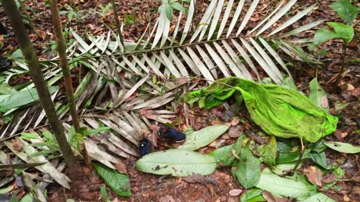 De un par de zapatos a pañal usado: Los hallazgos que mantienen la esperanza en caso de niños desaparecidos