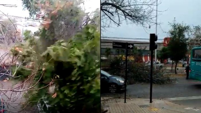 Árboles caídos y cortes de luz por fuertes vientos registrados en el sector oriente de la Región Metropolitana