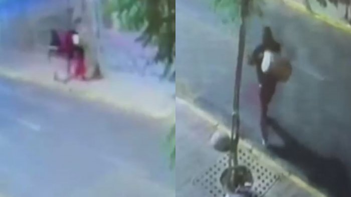 Impactantes registros: Revelan videos clave del hallazgo de los restos humanos en plena Alameda