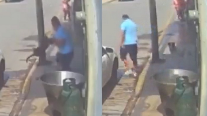 Brutal caso de maltrato animal en México: Sujeto asesinó a perro tras lanzarlo a olla con aceite hirviendo