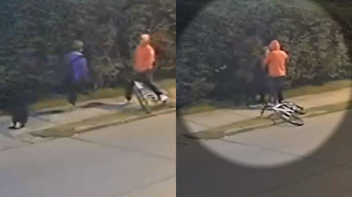 Le daba la orden y atacaba: Así operaba el sujeto que entrenó a su perro para asaltar a solitarios peatones