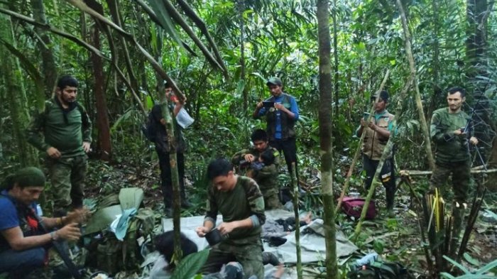 Tras 40 días de búsqueda: Encuentran con vida a niños desaparecidos en selva colombiana