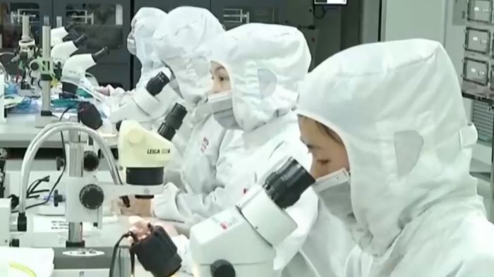 Reportaje revela supuesto origen del COVID-19: Habría sido creado en laboratorio y filtrado por accidente desde China