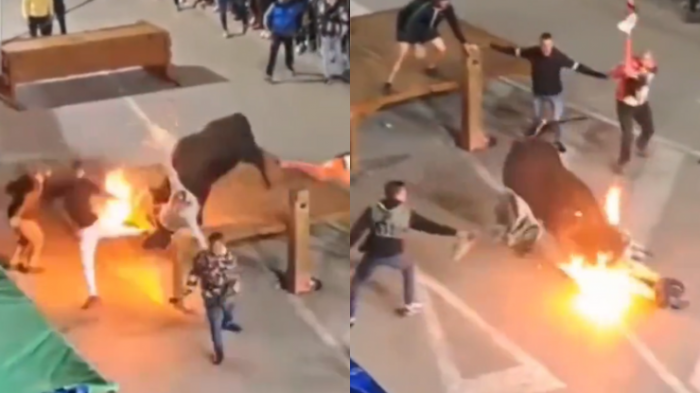 Terminó ingresado en la UCI: Toro embistió brutalmente a sujeto que le prendió fuego a sus cuernos