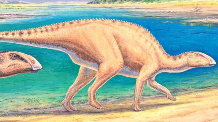 Gonkoken nanoi: Así es el dinosaurio con 