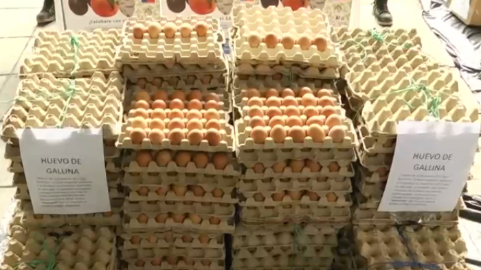 Ni fritos ni revueltos: Incautan más de 220 mil huevos insalubres importados desde Perú y Bolivia