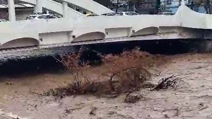 Registran impactante crecida del Río Mapocho: Hasta arrastró un árbol en sector de Puente Pío Nono