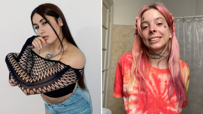 Artista chilena funó por supuesto 