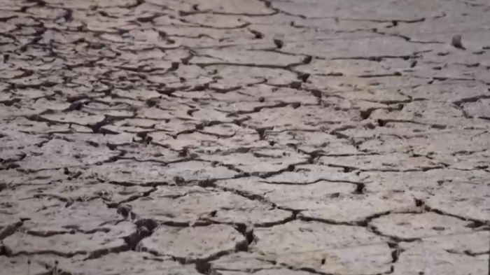 Alerta mundial por fenómeno de El Niño: ¿Qué puede ocurrir en Chile?