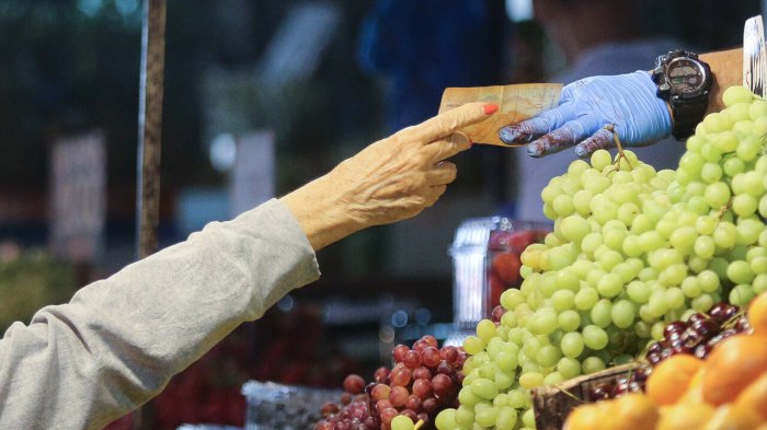 El impacto del temporal en el precio de los alimentos: Lechugas y papas han sufrido las mayores alzas