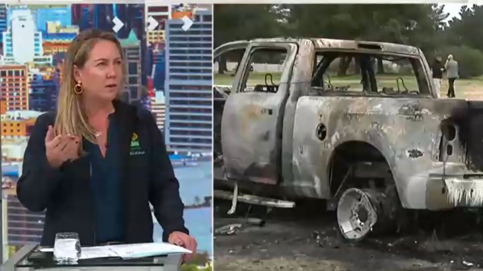 Alcaldesa de Colina por agresión de su par Gustavo Alessandri en Zapallar: 