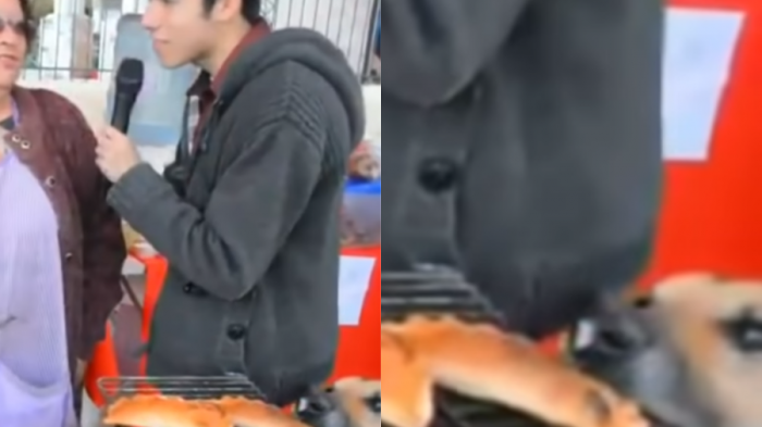 Triste noticia: Confirman muerte de Orejón, el perrito viral conocido como 