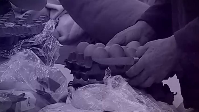 ¿Hubo complot con los huevos? Analizan supuesta votación maquinada en Gran Hermano