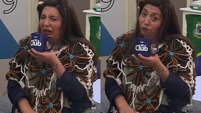 Pincoya rompió la cuarta pared: 