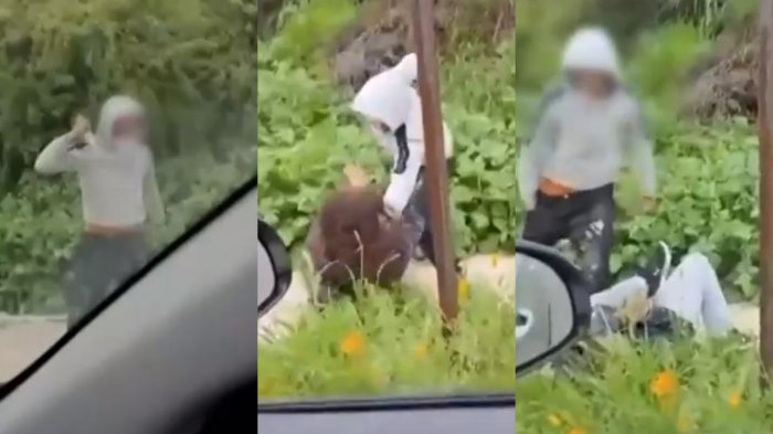 Escalofriante: El video que delató al joven autor de brutal asalto con cuchillo a plena luz del día