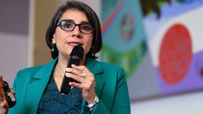 Quién es Paula Poblete, la nueva ministra de Desarrollo Social que asume tras renuncia de Giorgio Jackson