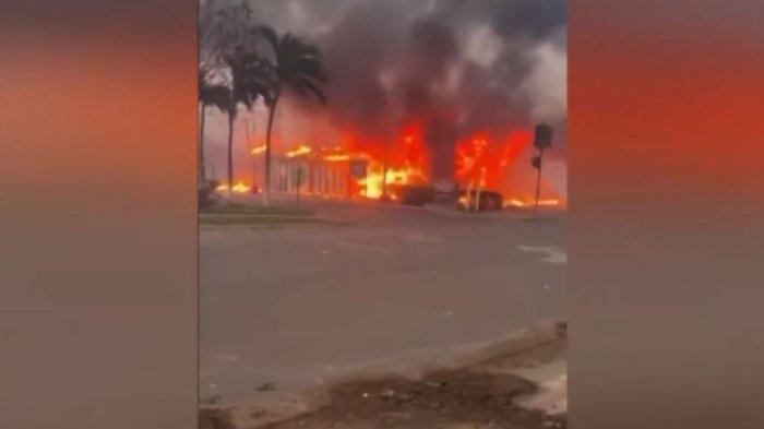 Catástrofe en Hawaii: Chilenos se resguardan de los devastadores incendios forestales en Maui