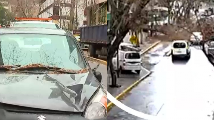 Captan momento exacto en que árbol cayó sobre auto en Providencia