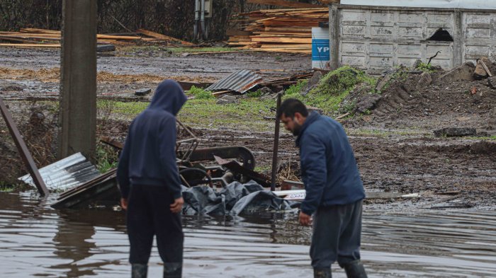 Bonos para damnificados: Conoce cómo obtener ayuda de hasta 1 millón de pesos