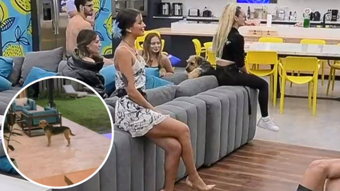 Remezón en GH: Lo que se sabe sobre la 