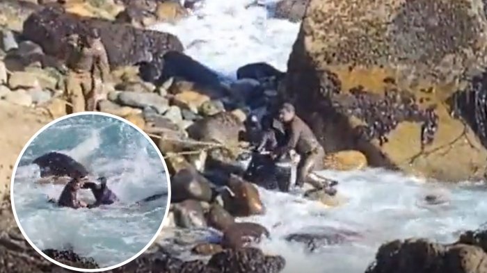 Insólito: Asaltante se lanzó al mar en Reñaca para evitar ser capturado por Carabineros