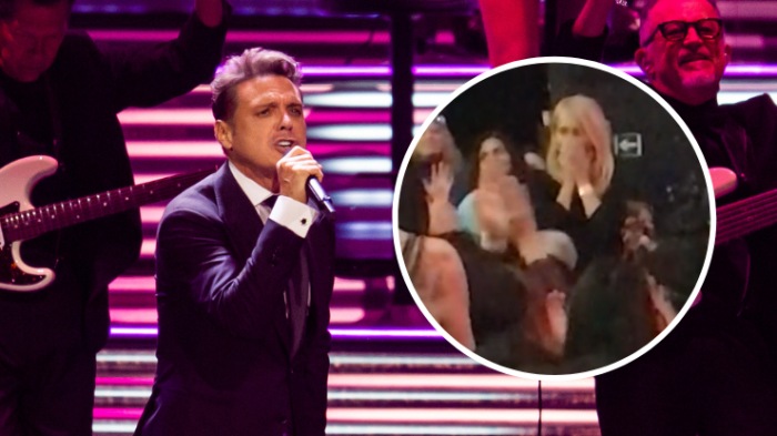 Cecilia Bolocco acaparó las miradas en concierto de Luis Miguel y el público la ovacionó de pie
