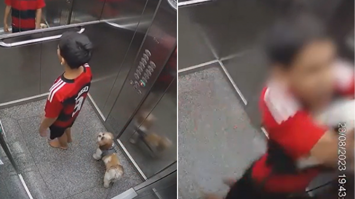 ¡Héroe sin capa! Niño de 11 años salvó a su perrita tras quedar enganchada en ascensor