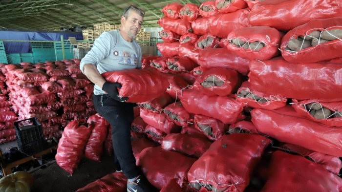 La ruta de la papa: ¿Dónde se encuentra la más barata?