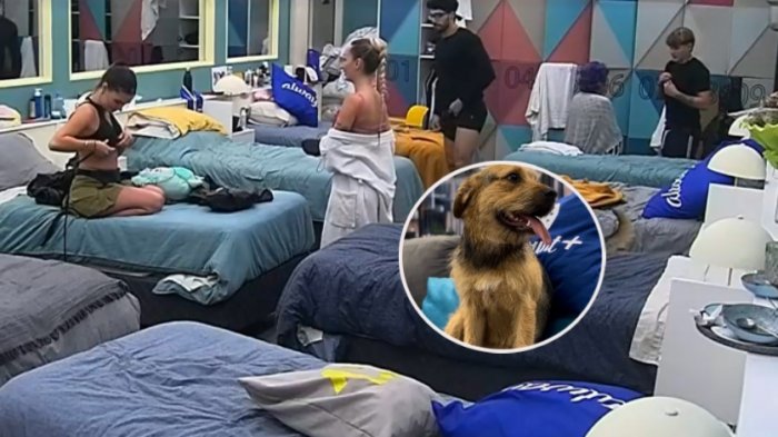 Un travieso Bigote dejó la grande en la 