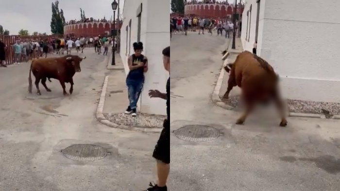 Mujer fue embestida por toro mientras miraba su teléfono en corrida española