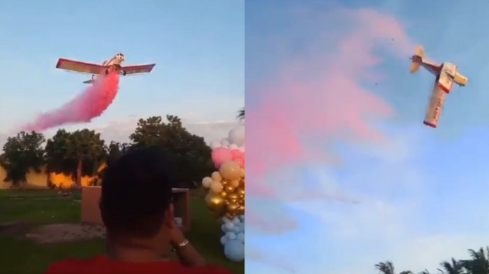 Terminó en tragedia: Avioneta cae tras participar en fiesta de revelación de género en México