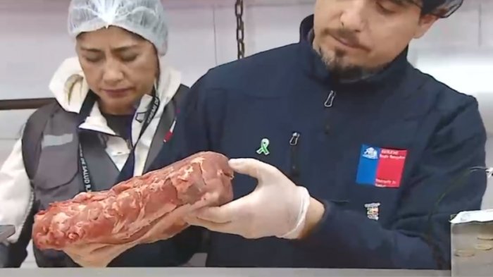 Fiscalización a carnicerías alerta a las autoridades por venta de carnes vencidas